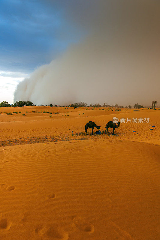 沙尘暴正在接近Merzouga定居点，在Erg Chebbi沙漠，非洲摩洛哥